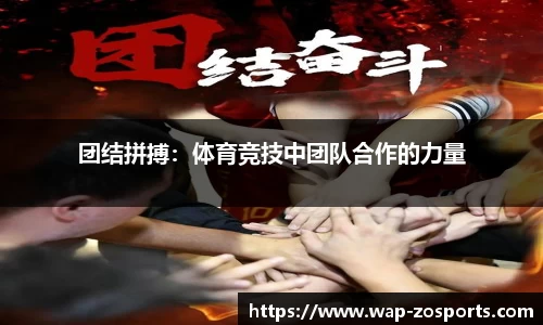 中欧体育官方网站