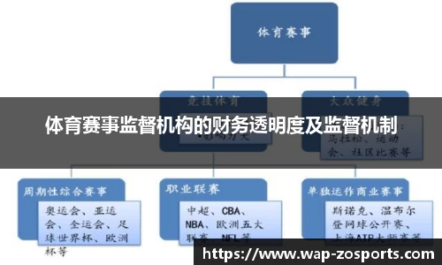 体育赛事监督机构的财务透明度及监督机制